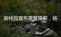 碧桂园宣布高管降薪
，杨惠妍莫斌调整后年薪12万元