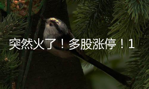火多年龄从16岁到40岁不等