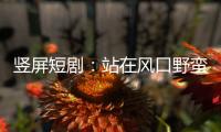 竖屏短剧
：站在风口野蛮生长