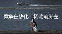 快排公司十年历程，霸屏兔 seo 的崛起与坚守
