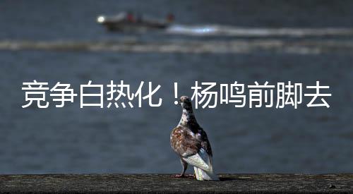 上赛季被外援挖了大坑的辽篮