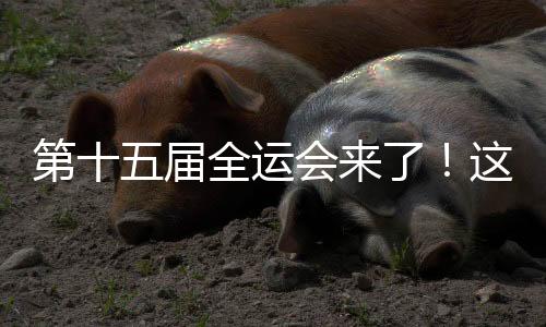 第届五、全运耐心排队