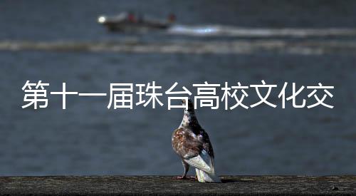 ”一位台湾学生代表说