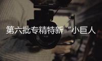 快排公司十年历程，霸屏兔 seo 的崛起与坚守