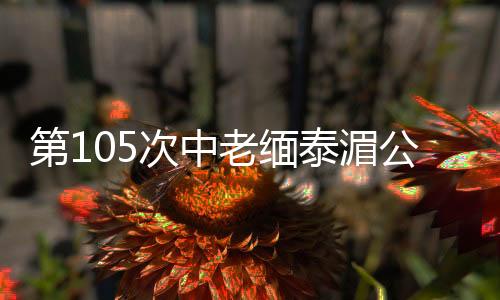 缅泰湄此次行动前
