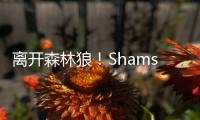 离开森林狼！Shams：凯尔特人2年550万签下卢卡