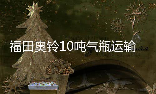 吨气该车适用于运输危急品
