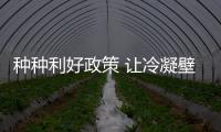 快排公司十年历程，霸屏兔 seo 的崛起与坚守