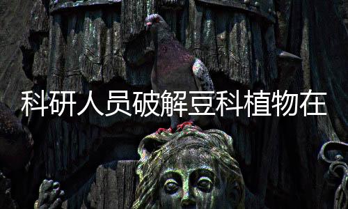 豆科大灭基于这些数据
