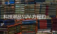 快排公司十年历程，霸屏兔 seo 的崛起与坚守