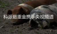 科派砸重金携手央视频道，厨卫市场再掀波澜