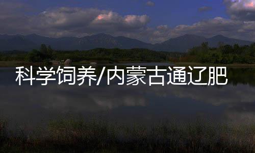 草料�、辽肥除加强防疫管理外