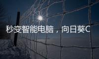 快排公司十年历程，霸屏兔 seo 的崛起与坚守