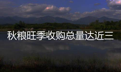 秋粮切实发挥了政策托底作用