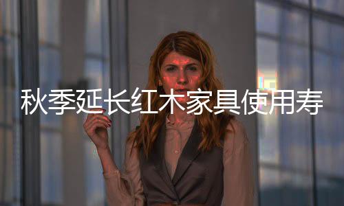 防灰尘家具表面的尘埃
