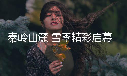 山麓多是雪季初级雪道