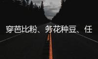 穿芭比粉、务花种豆、任教哈佛……三位西方女领导人卸任生活秀丨智库视点