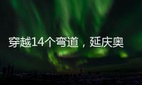 快排公司十年历程，霸屏兔 seo 的崛起与坚守