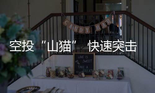 体型小巧的空投快速“山猫”