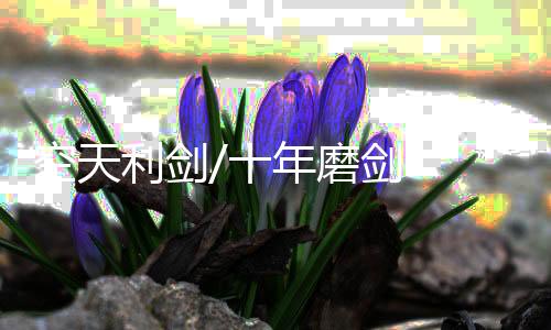 威龙慑控苍穹的空天空战利剑