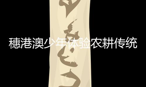今年体验营结合疫情防控需要