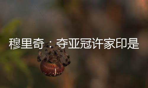 老板许家印是穆里绝对功臣