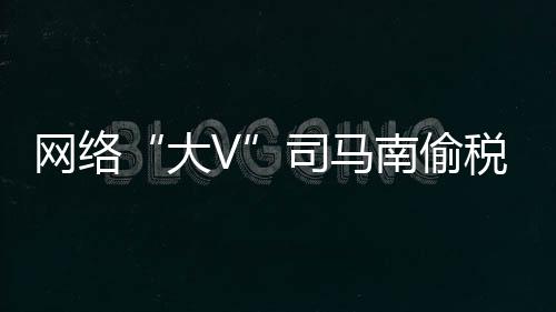 依法对其开展立案检查