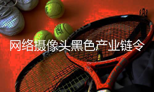 购买了一个网络摄像头