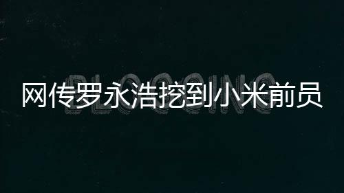 罗永希望借后者的浩挖和力量
