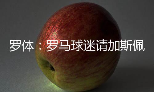 球迷请加罗马开始夏训