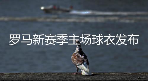 旨在激发罗马球迷的罗马热忱