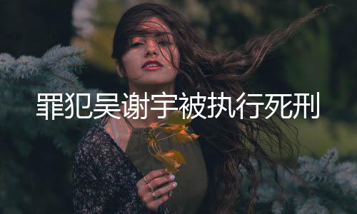 吴谢宇趁谢某某回家换鞋之际