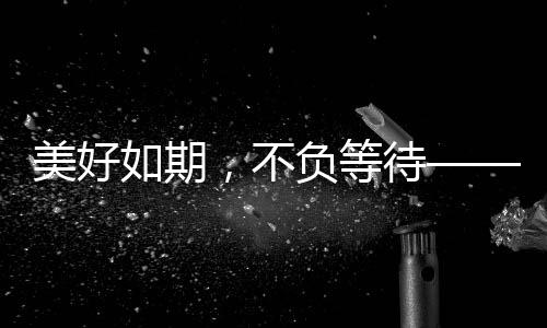 赢得现场与会者阵阵掌声