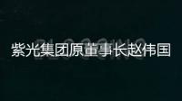 紫光集团原董事长赵伟国贪污
、为亲友非法牟利�、背信损害上市公司利益案一审开庭