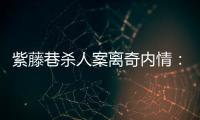 紫藤巷杀人案离奇内情：四个专案组与警界“内鬼”