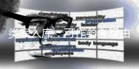 类案入库
：可作参考理由，不作裁判依据