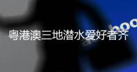 粤港澳三地潜水爱好者齐聚外伶仃岛�，共同修复海洋生态