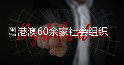 粤港议共育湾扎根发展