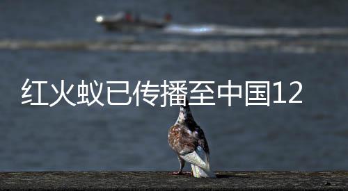 全力阻截防控红火蚁蔓延危害