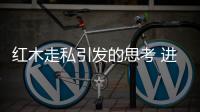 快排公司十年历程，霸屏兔 seo 的崛起与坚守