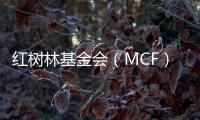 红树林基金会（MCF）温家怡�：善因营销可有效促进公益品牌建设