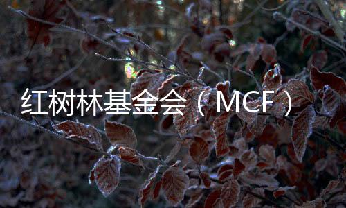 红树主动曝光在公众面前