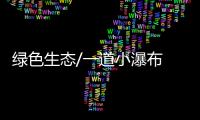 快排公司十年历程，霸屏兔 seo 的崛起与坚守
