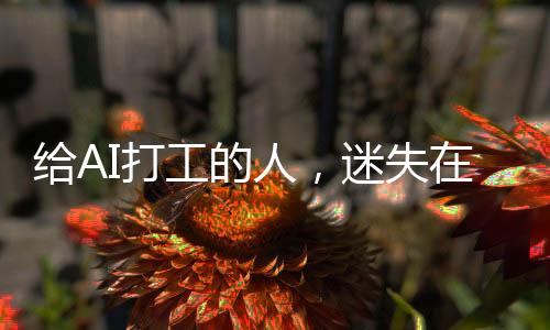失数需要先进行培训和测试