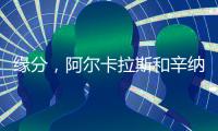 快排公司十年历程，霸屏兔 seo 的崛起与坚守