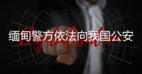 缅甸警方依法向我国公安机关移交10名重大犯罪嫌疑人