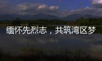 快排公司十年历程，霸屏兔 seo 的崛起与坚守