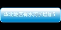 快排公司十年历程，霸屏兔 seo 的崛起与坚守