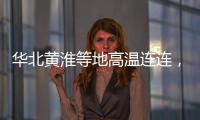 快排公司十年历程，霸屏兔 seo 的崛起与坚守