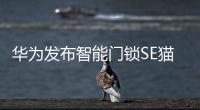 华为发布智能门锁SE猫眼版
	，不仅“便捷”还要“安全”